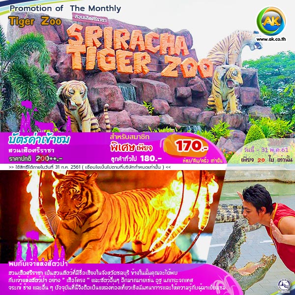 070 Tiger Zoo