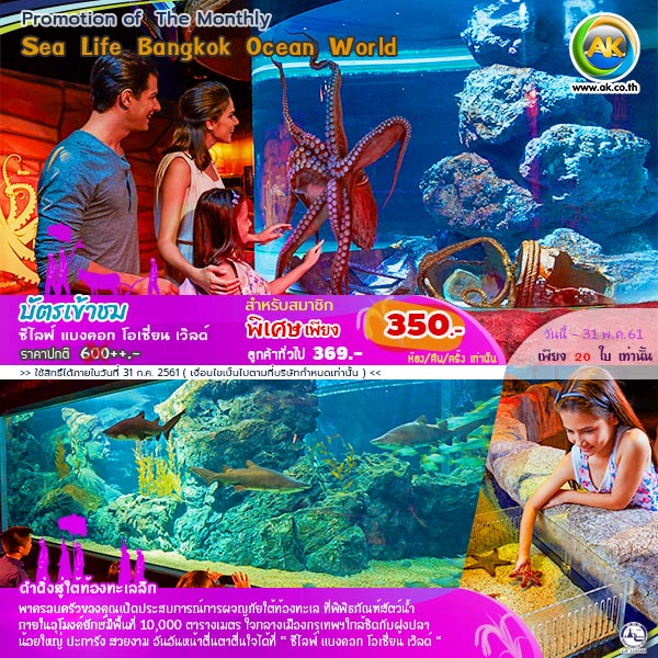 073 Sea Life Bangkok Ocean World