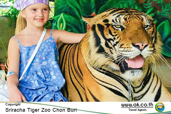 Sriracha Tiger Zoo Chon Buri15