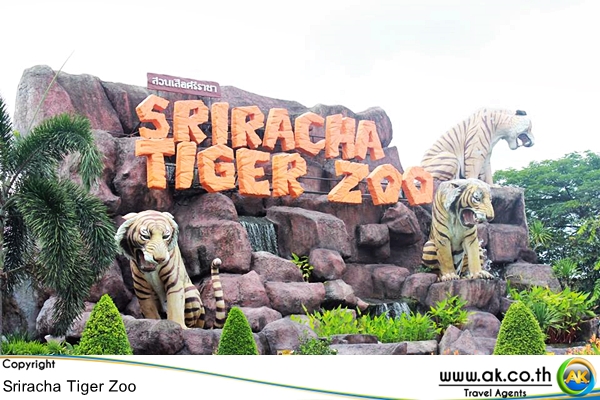 สวนเสอศรราชา Sriracha Tiger Zoo 6